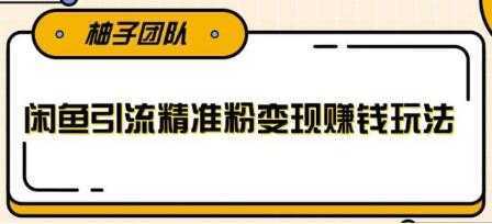 闲鱼引流精准粉变现赚钱玩法，每天可以引流精准粉100+-韬哥副业项目资源网