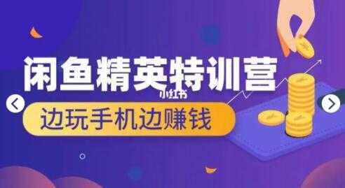 翼牛学堂 闲鱼项目精英特训营培训视频，月光族上班族的闲鱼赚钱课程-韬哥副业项目资源网