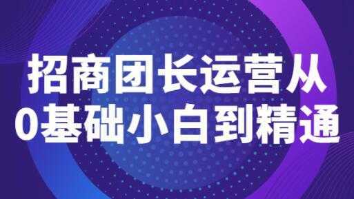 《招商团长运营》从0基础小白到精通-韬哥副业项目资源网