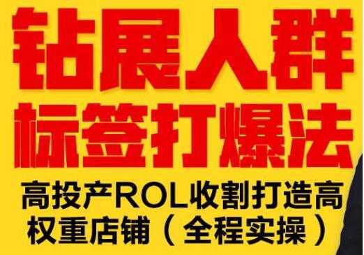 逐鹿《淘宝钻展人群标签打爆法》高投产ROL收割打造高权重店铺(全程实操)-韬哥副业项目资源网