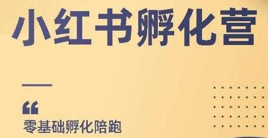 小红书撸金项目，教你如何快速起号获得曝光，做到月躺赚在3000+-韬哥副业项目资源网