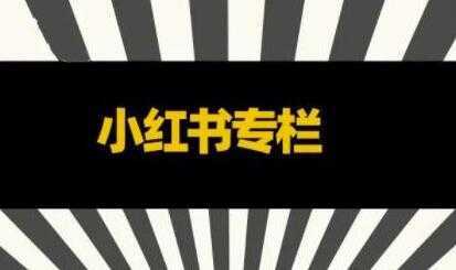 品牌医生《小红书全链营销干货》5个起盘案例，营销策略规划，避坑指南-韬哥副业项目资源网