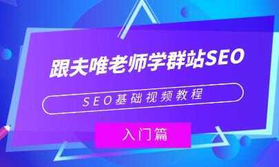 夫唯《群站seo优化教程视频》SEO基础视频教程-韬哥副业项目资源网