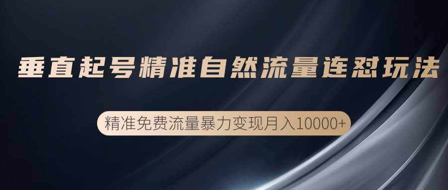 垂直起号精准自然流量连爆玩法，精准引流暴力变现月入10000+-韬哥副业项目资源网