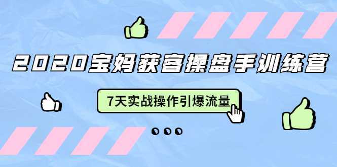 2020宝妈获客操盘手训练营：7天实战操作引爆 母婴、都市、购物宝妈流量-韬哥副业项目资源网