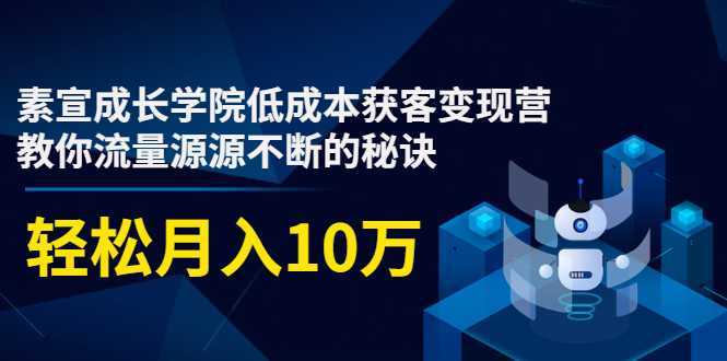 素宣成长学院低成本获客变现营，教你流量源源不断的秘诀，轻松月入10万-韬哥副业项目资源网