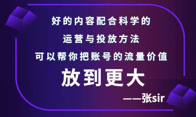 张sir账号流量增长课，告别海王流量，让你的流量更精准-韬哥副业项目资源网