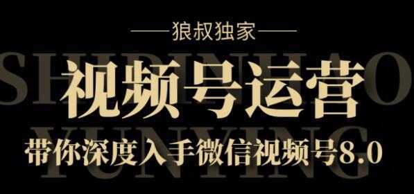 狼叔独家：视频号8.0运营实战课价值1280元-韬哥副业项目资源网