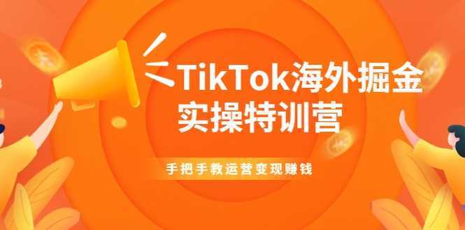 TikTok海外掘金实操特训营：手把手教运营变现赚钱