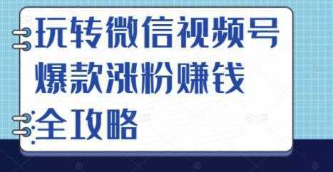 玩转微信视频号爆款涨粉赚钱全攻略，让你快速抓住流量风口，收获红利财富-韬哥副业项目资源网