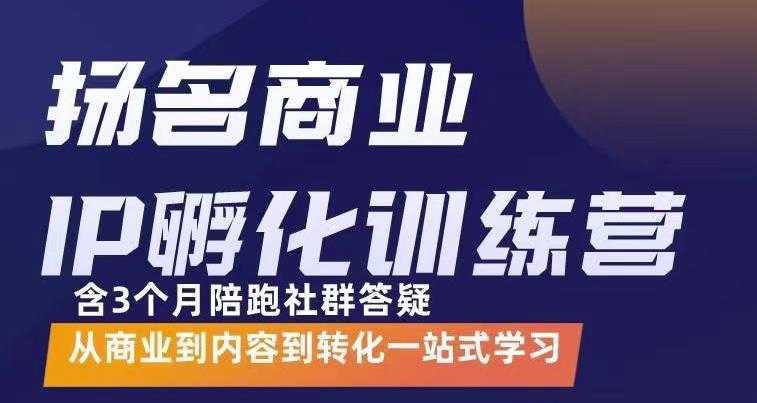 杨名商业IP孵化训练营，从商业到内容到转化一站式学 价值5980元-韬哥副业项目资源网