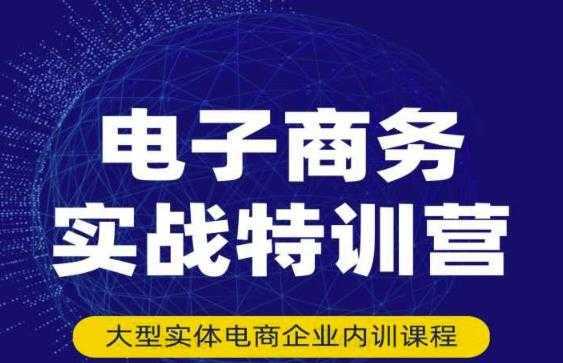 民赛电气内部出品：电子商务实战特训营，全方位带你入门电商，308种方式玩转电商-韬哥副业项目资源网