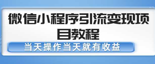 微信小程序引流变现项目教程，当天操作当天就有收益，变现不再是难事-韬哥副业项目资源网