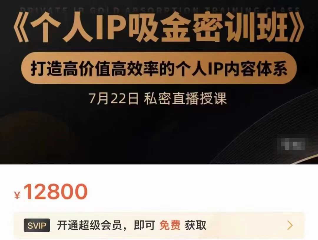 个人IP吸金密训班，打造高价值高效率的个人IP内容体系（价值12800元）-韬哥副业项目资源网