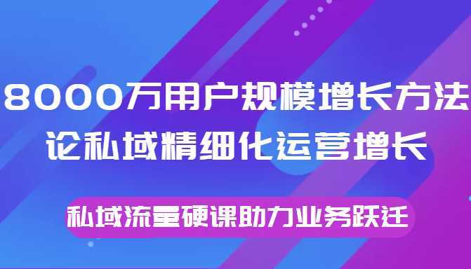 8000万用户规模增长方法论私域精细化运营增长，私域流量硬课助力业务跃迁-韬哥副业项目资源网