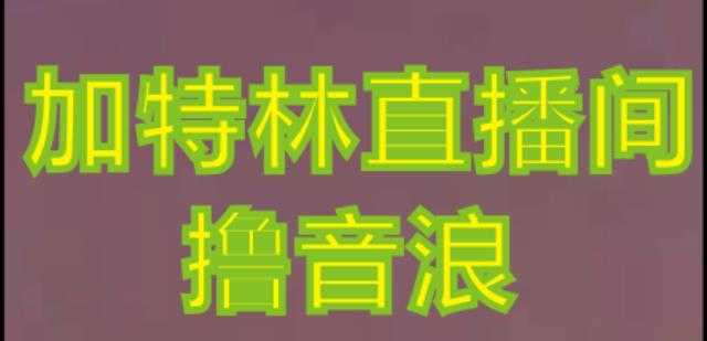 抖音加特林直播间搭建技术，抖音0粉开播，暴力撸音浪，2023新口子，每天800+【素材+详细教程】-韬哥副业项目资源网