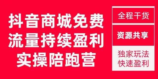 抖音商城搜索持续盈利陪跑成长营，抖音商城搜索从0-1、从1到10的全面解决方案-韬哥副业项目资源网