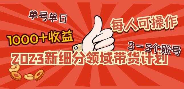 2023新细分领域带货计划：单号单日1000+收益不难，每人可操作3-5个账号-韬哥副业项目资源网