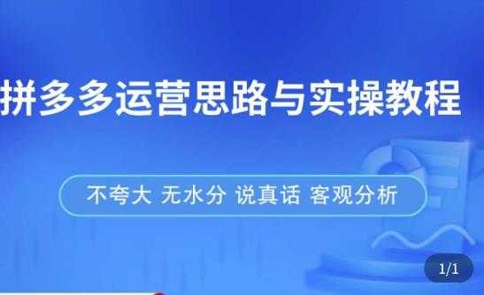 拼多多店铺运营思路与实操教程，快速学会拼多多开店和运营，少踩坑，多盈利-韬哥副业项目资源网