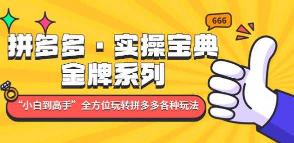 拼多多·实操宝典：金牌系列“小白到高手”带你全方位玩转拼多多各种玩法-韬哥副业项目资源网