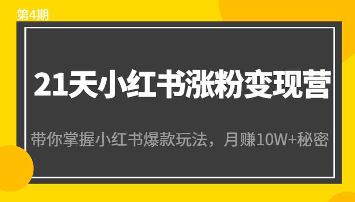 21天小红书涨粉变现营（第4期）：带你掌握小红书爆款玩法，月赚10W+秘密-韬哥副业项目资源网