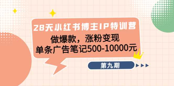 28天小红书博主IP特训营《第9期》做爆款，涨粉变现 单条广告笔记500-10000-韬哥副业项目资源网