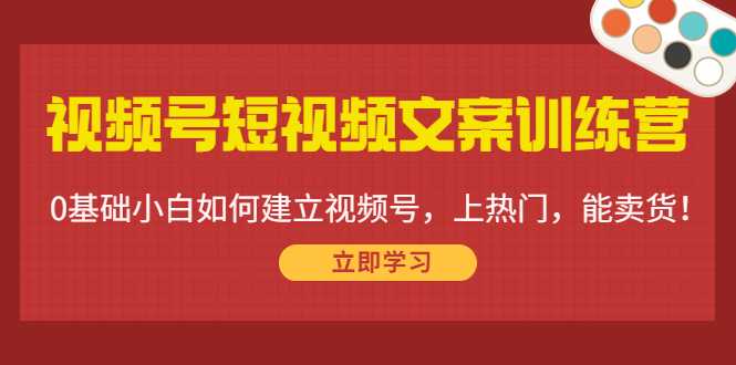 视频号短视频文案训练营：0基础小白如何建立视频号，上热门，能卖货！-韬哥副业项目资源网