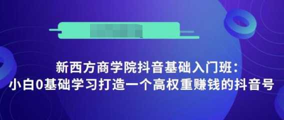 抖音基础入门班：小白0基础学习打造一个高权重赚钱的抖音号-韬哥副业项目资源网