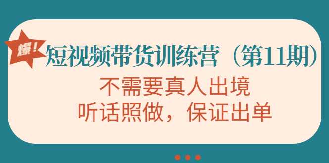 视频带货训练营，不需要真人出境，听话照做，保证出单（第11期）-韬哥副业项目资源网