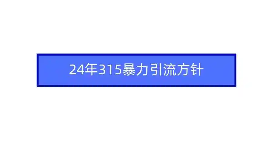 （9398期）2024年315暴力引流方针-韬哥副业项目资源网