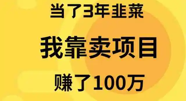 （9100期）当了3年韭菜，我靠卖项目赚了100万-韬哥副业项目资源网