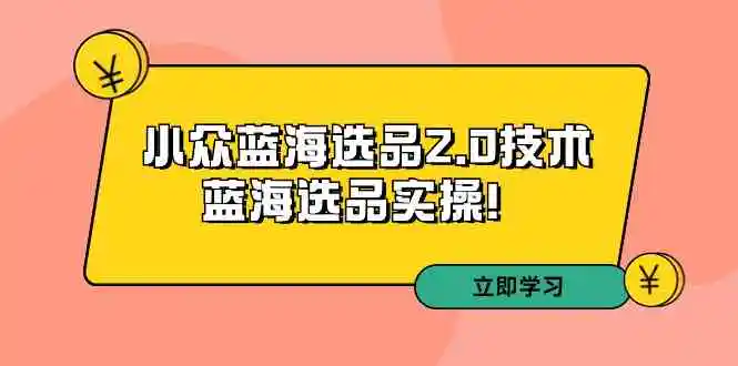 （9189期）拼多多培训第33期：小众蓝海选品2.0技术-蓝海选品实操！-韬哥副业项目资源网