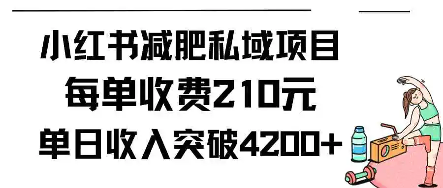 （9466期）小红书减肥私域项目每单收费210元单日成交20单，最高日入4200+-韬哥副业项目资源网