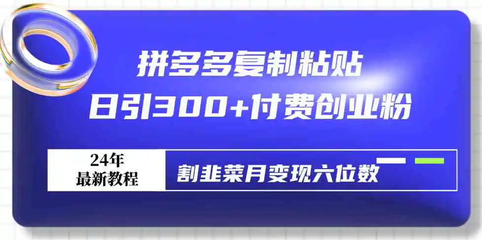 （9129期）拼多多复制粘贴日引300+付费创业粉，割韭菜月变现六位数最新教程！-韬哥副业项目资源网