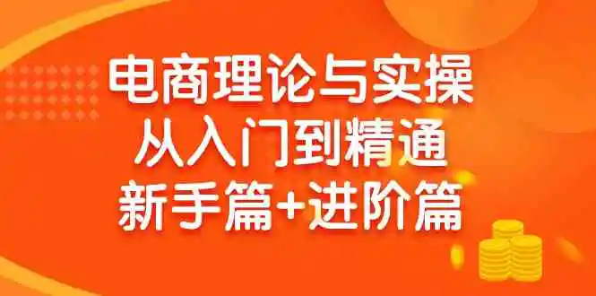 （9576期）电商理论与实操从入门到精通 新手篇+进阶篇-韬哥副业项目资源网