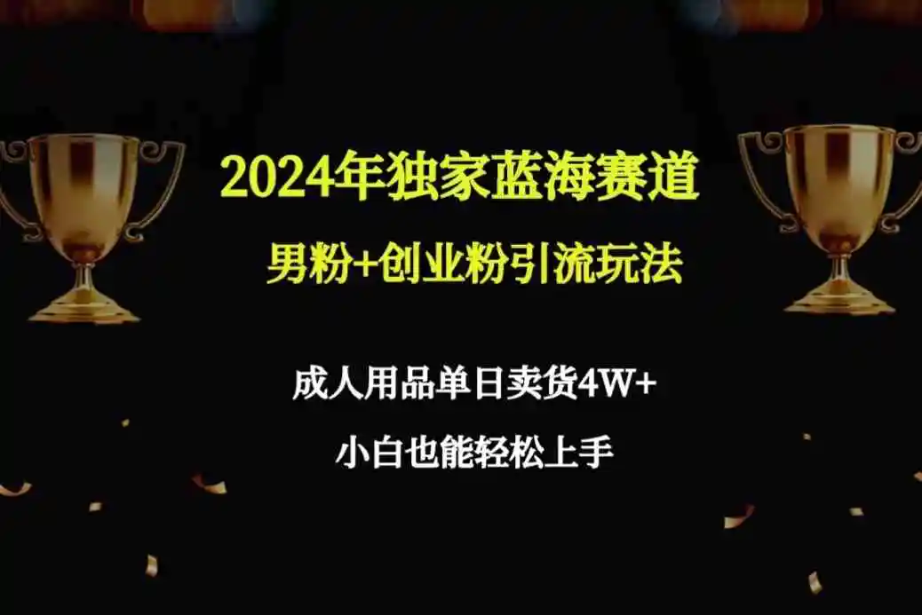 （9111期）2024年独家蓝海赛道男粉+创业粉引流玩法，成人用品单日卖货4W+保姆教程-韬哥副业项目资源网