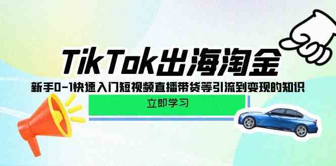 TikTok出海淘金，新手0-1快速入门短视频直播带货等引流到变现的知识-韬哥副业项目资源网