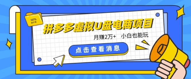 拼多多虚拟U盘电商红利项目：月赚2万+，新手小白也能玩-韬哥副业项目资源网