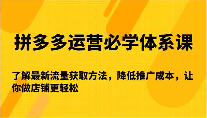 拼多多运营必学体系课-了解最新流量获取方法，降低推广成本，让你做店铺更轻松-韬哥副业项目资源网