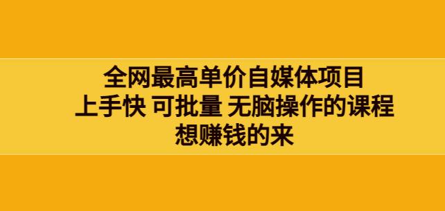 网最单高价自媒体项目：上手快可批量无脑操作的课程，想赚钱的来-韬哥副业项目资源网