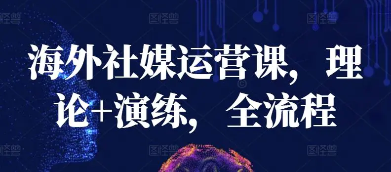 海外社媒运营课，理论+演练，全流程-韬哥副业项目资源网