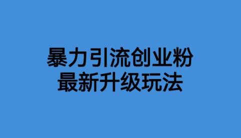 价值1980一千个野路子暴力引流最新升级玩法【揭秘】-韬哥副业项目资源网