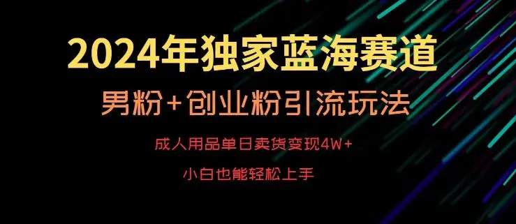 2024年独家蓝海赛道，成人用品单日卖货变现4W+，男粉+创业粉引流玩法，不愁搞不到流量【揭秘】-韬哥副业项目资源网