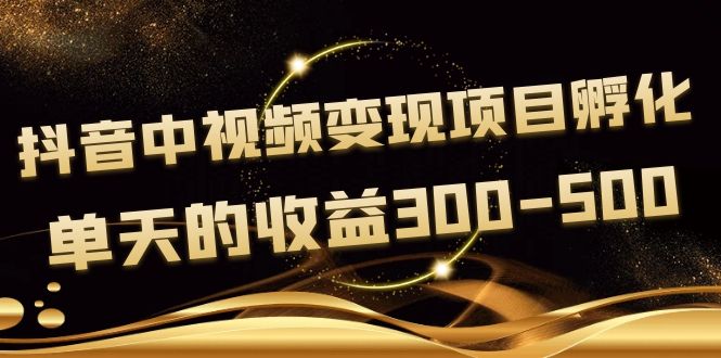 （3794期）黄岛主《抖音中视频变现项目孵化》单天的收益300-500 操作简单粗暴-韬哥副业项目资源网