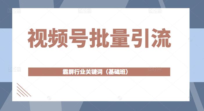 视频号批量引流，霸屏行业关键词（基础班）全面系统讲解视频号玩法【无水印】-韬哥副业项目资源网