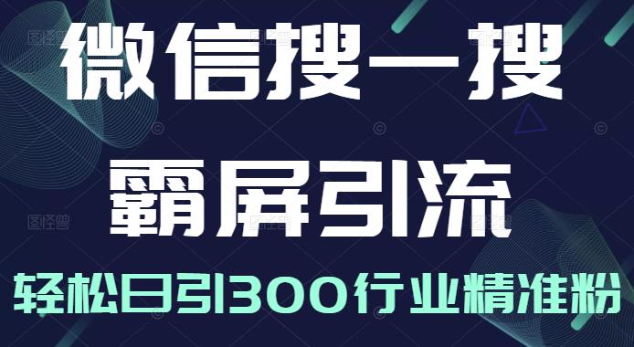 微信搜一搜霸屏引流课，打造被动精准引流系统，轻松日引300行业精准粉【无水印】-韬哥副业项目资源网