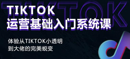 Tiktok实操进阶课程，体验从tiktok小透明到大佬的完美蜕变-韬哥副业项目资源网