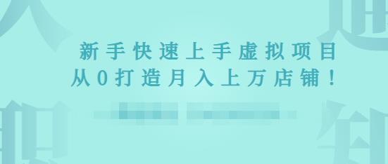 2022年虚拟项目实战指南，新手从0打造月入上万店铺【视频课程】-韬哥副业项目资源网