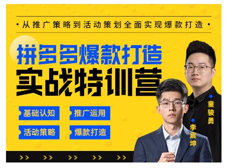 玺承云·拼多多爆款打造实战特训营，一套从入门到高手课程，让你快速拿捏拼多多-韬哥副业项目资源网