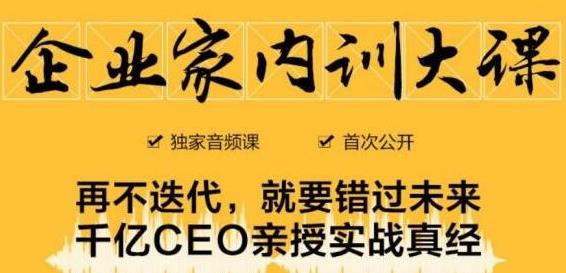 企业家内训大课，未来企业必学经验，价值1299元-韬哥副业项目资源网